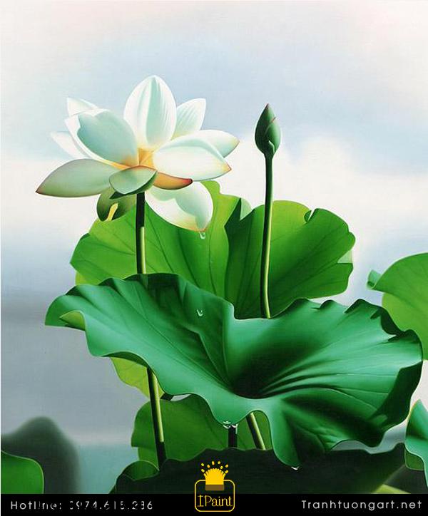 Những mẫu tranh vẽ hoa sen đẹp và ấn tượng nhất cho người xem  Linh Art
